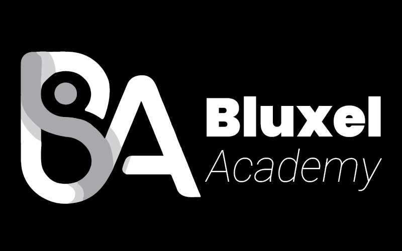 Bluxel Academy | Online Courses in Digital Skills, Business, and Creative Arts